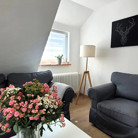 Apartment 21105